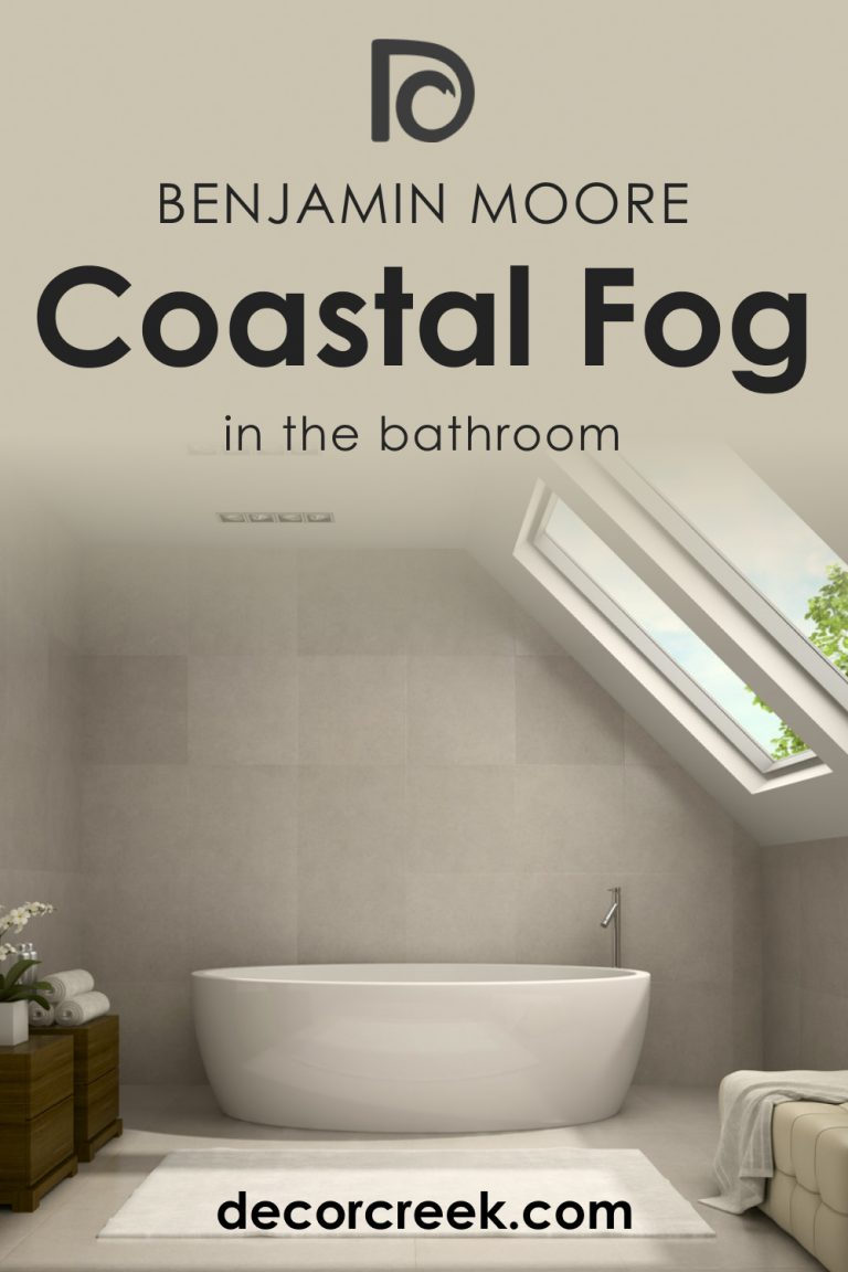 Coastal Fog AC-1 Paint Color by Benjamin Moore - DecorCreek