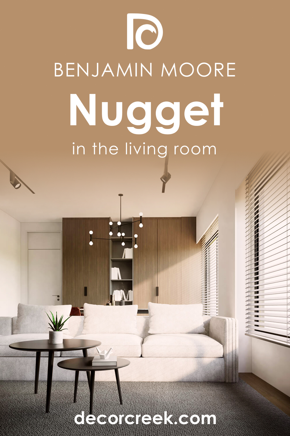 How to Use Nugget AC-9 in the Living Room?