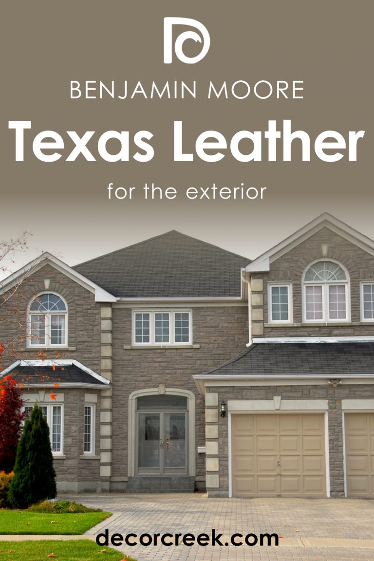 Texas Leather AC-3 Paint Color by Benjamin Moore - DecorCreek