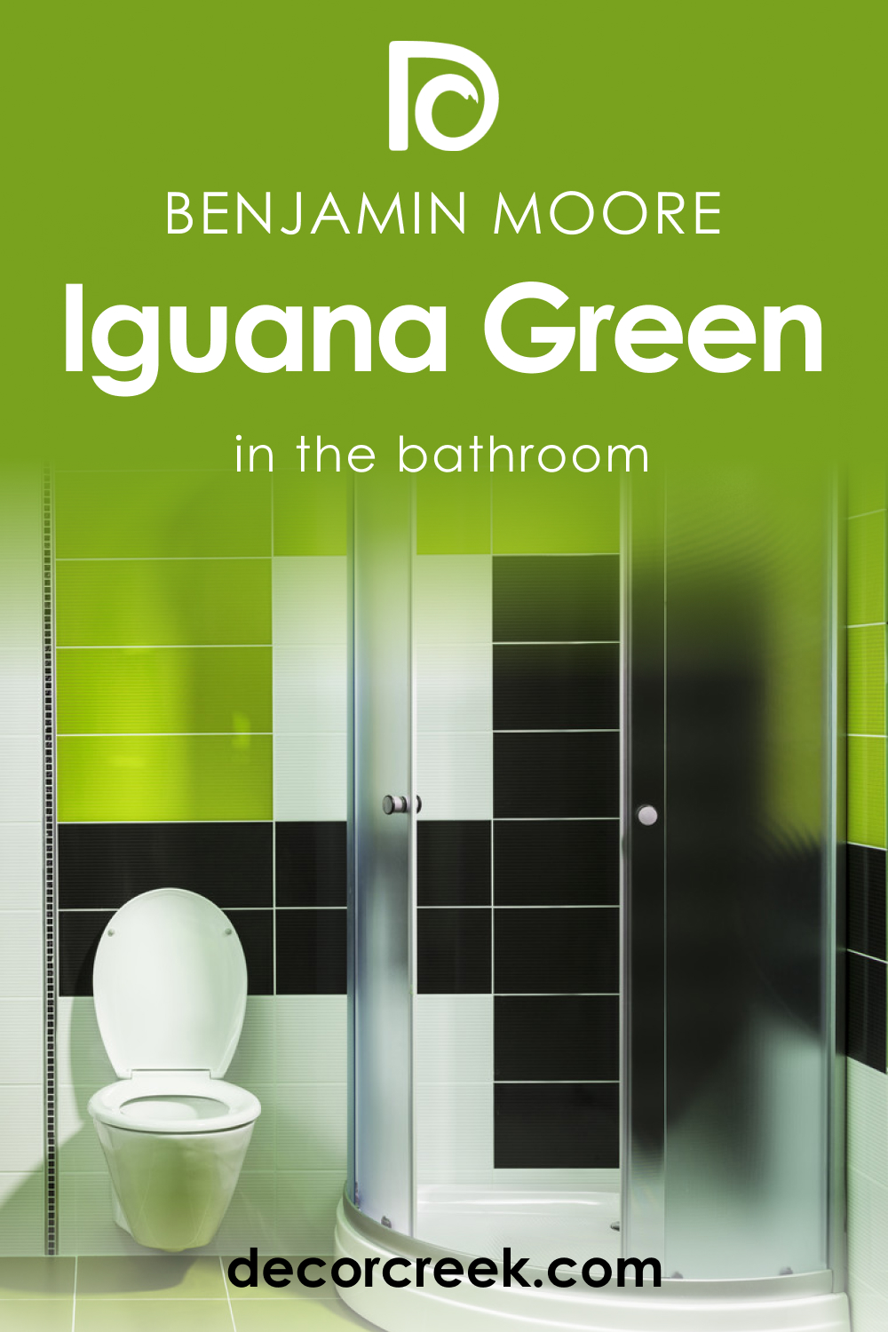Iguana Green 2028-10 in the Bathroom