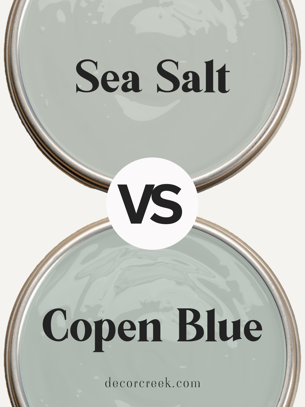 Sea Salt SW 6204 vs Copen Blue SW 0068