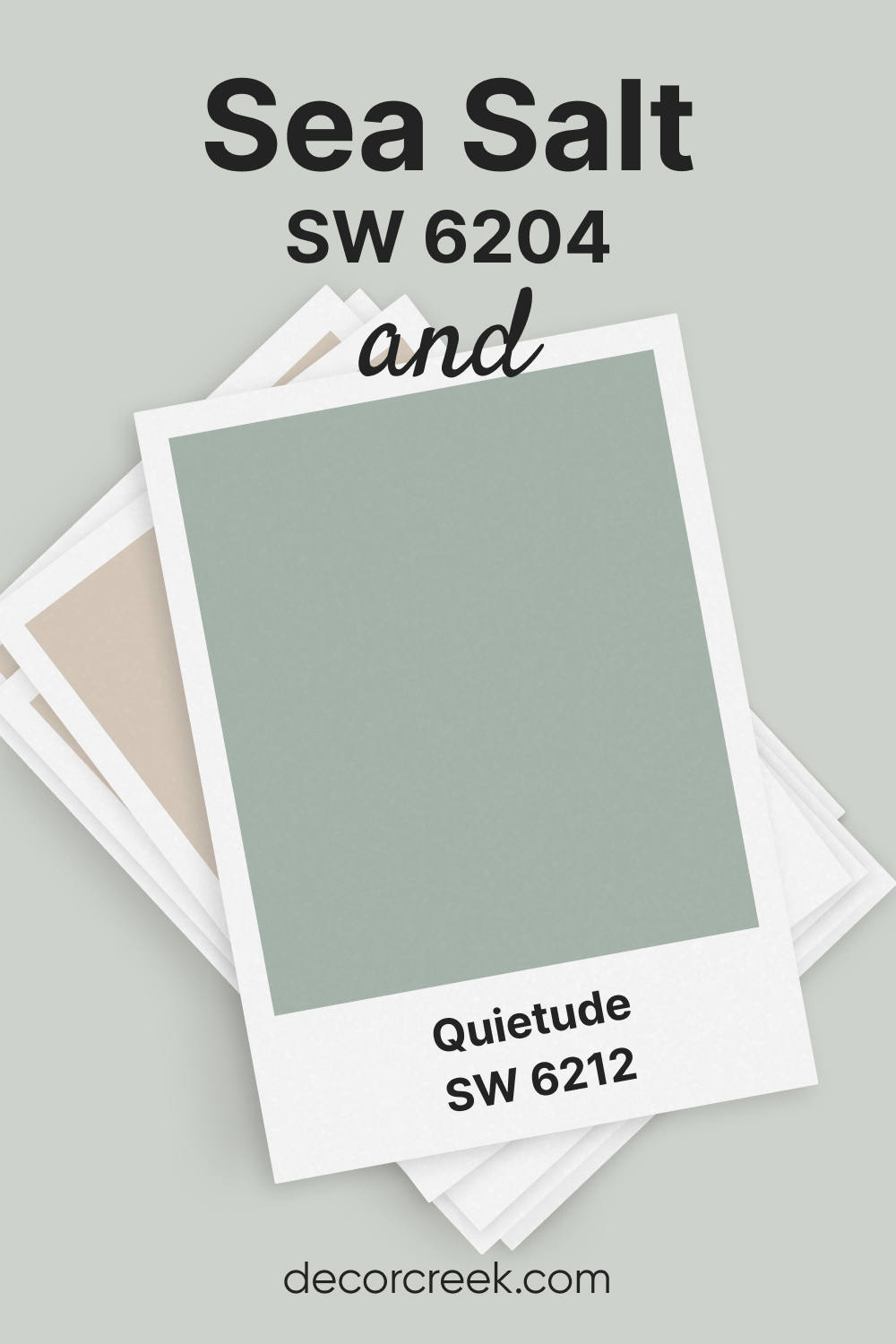 Sea Salt vs Quietude (SW 6212)