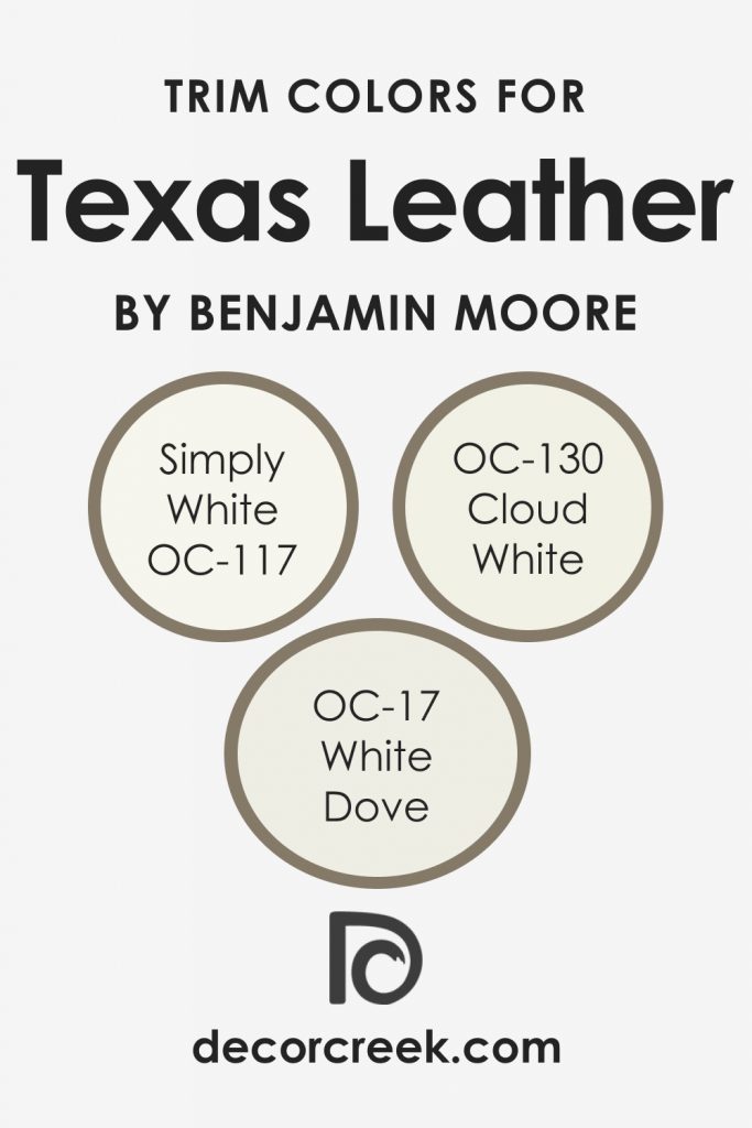 Texas Leather AC-3 Paint Color by Benjamin Moore - DecorCreek