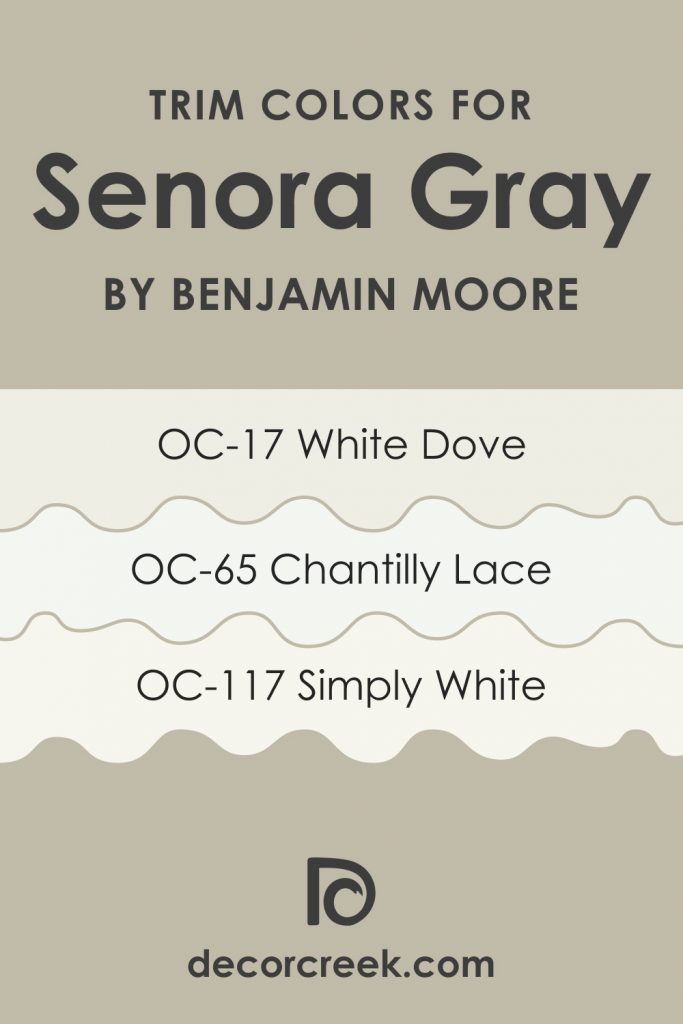 Senora Gray 1530 Paint Color by Benjamin Moore - DecorCreek