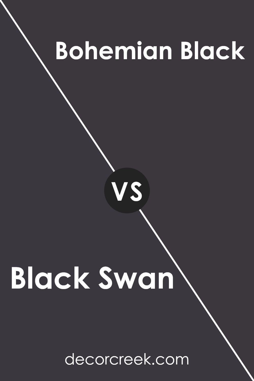 black_swan_sw_6279_vs_bohemian_black_sw_6988