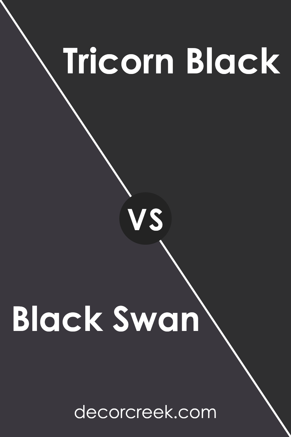 black_swan_sw_6279_vs_tricorn_black_sw_6258
