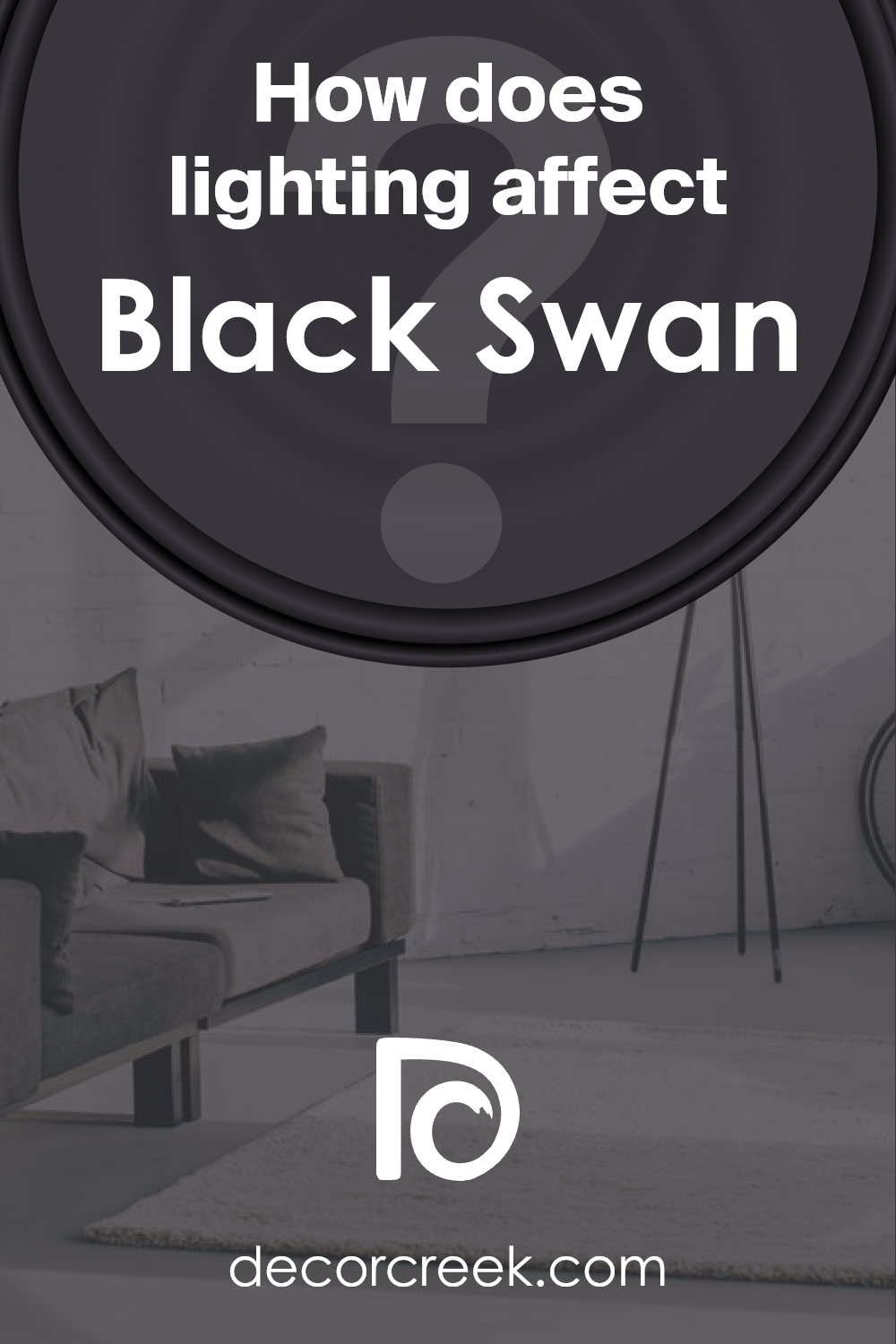 how_does_lighting_affect_black_swan_sw_6279