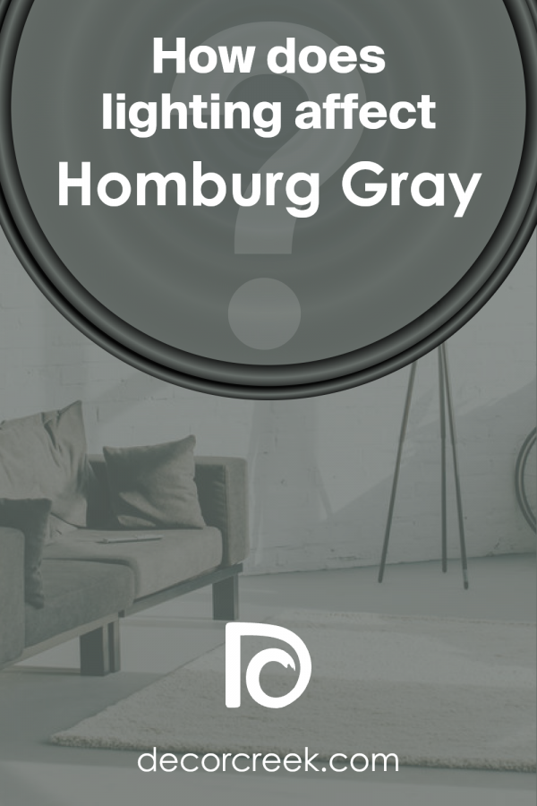 Homburg Gray SW 7622 Paint Color by Sherwin Williams - DecorCreek