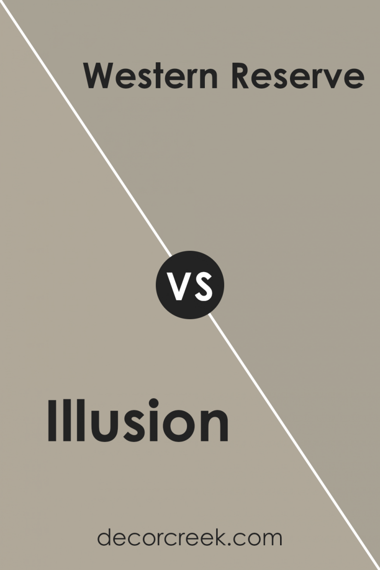 Illusion SW 9592 Paint Color by Sherwin Williams - DecorCreek