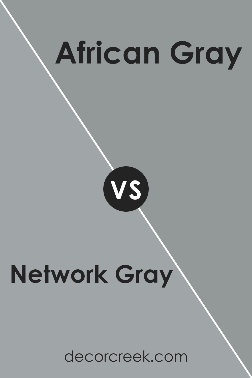 network_gray_sw_7073_vs_african_gray_sw_9162