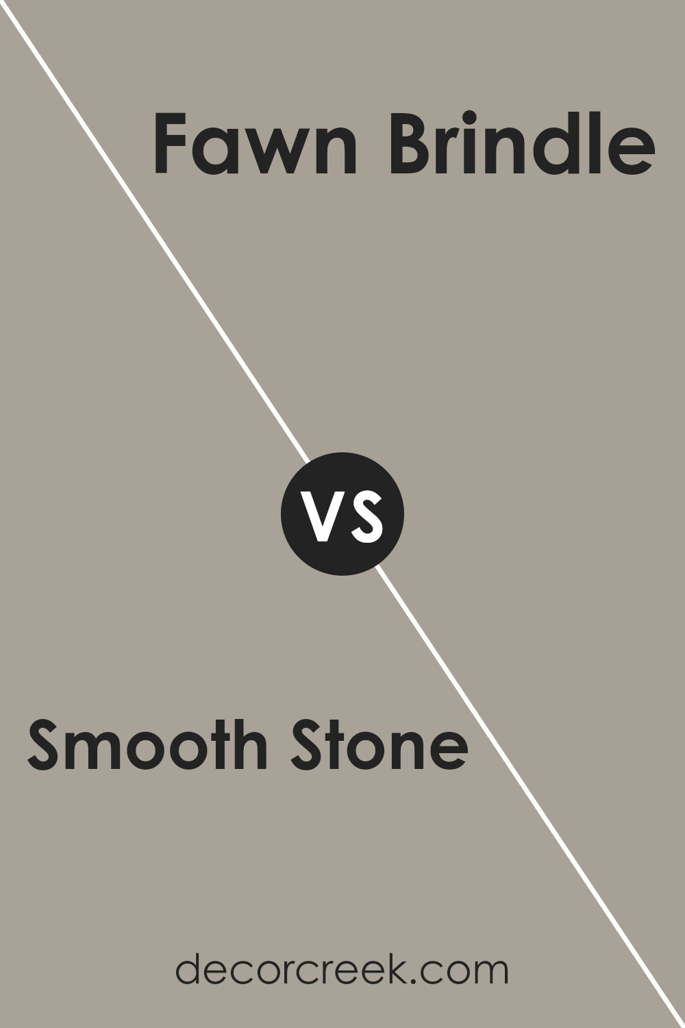 smooth_stone_sw_9568_vs_fawn_brindle_sw_7640