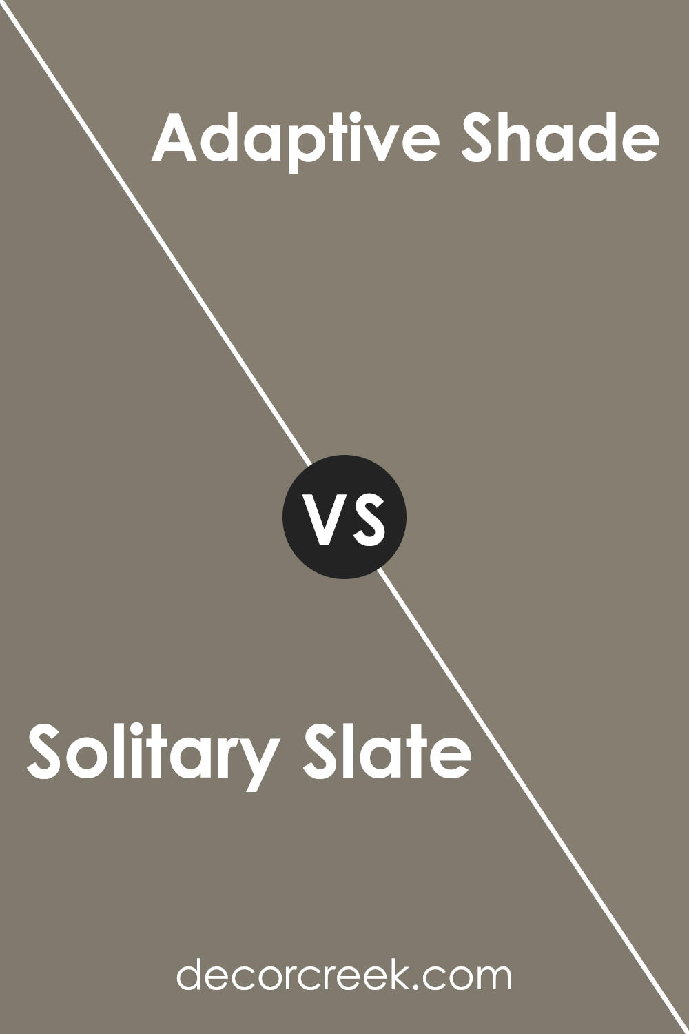 solitary_slate_sw_9598_vs_adaptive_shade_sw_7053