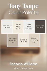 Tony Taupe SW 7038 Paint Color by Sherwin Williams - DecorCreek