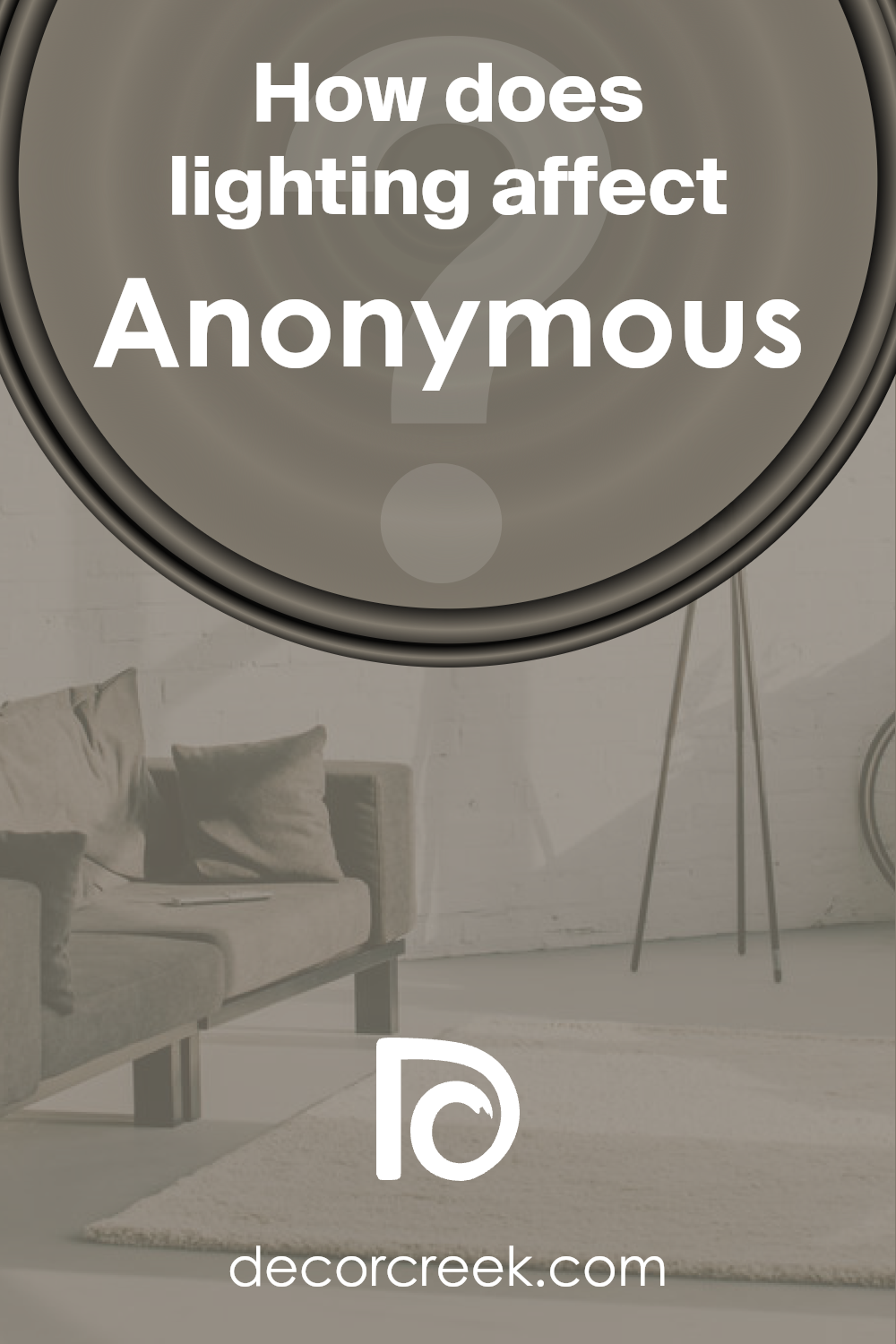 how_does_lighting_affect_anonymous_sw_7046