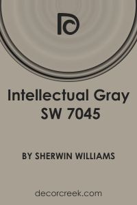 Intellectual Gray SW 7045 Paint Color by Sherwin Williams - DecorCreek