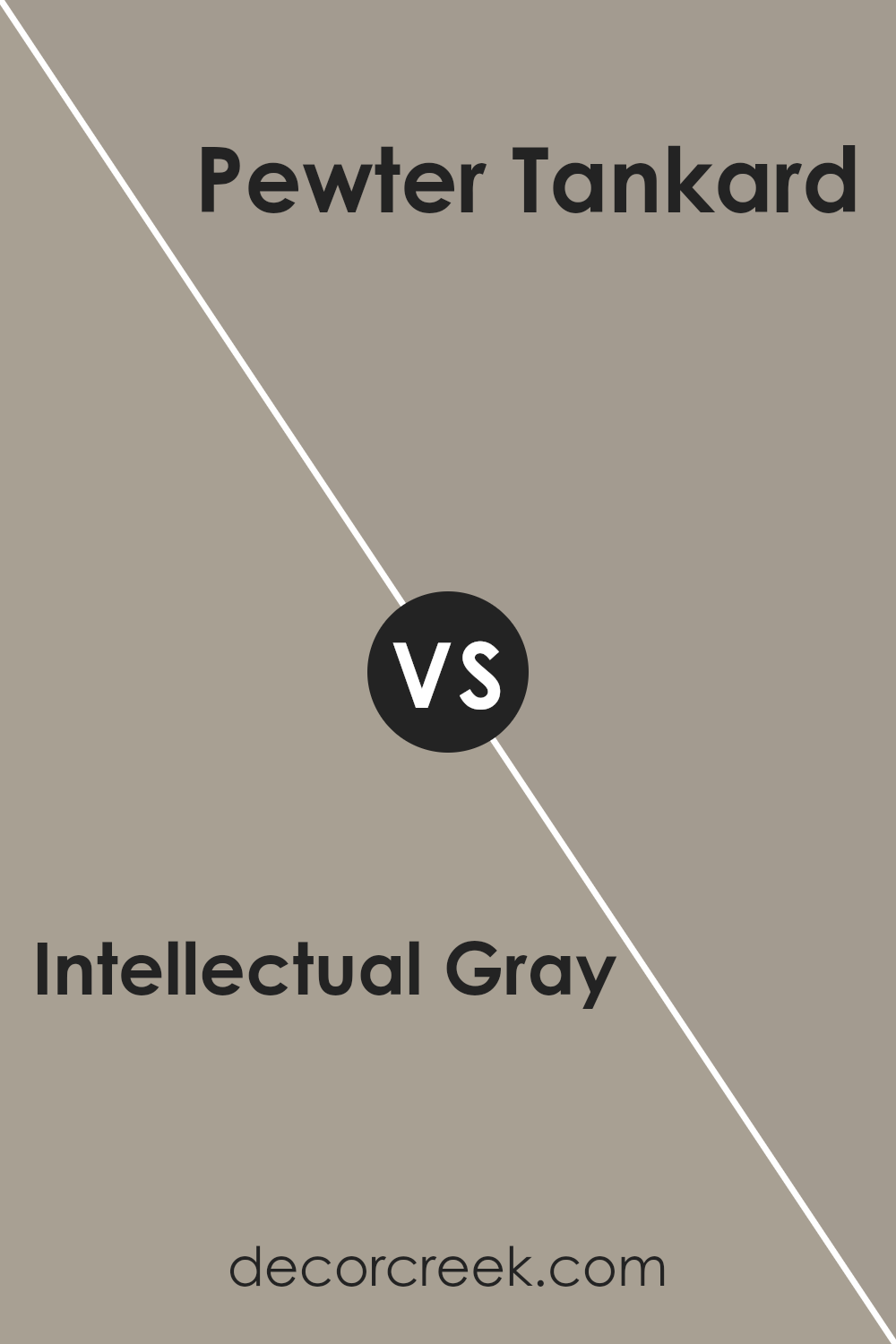 intellectual_gray_sw_7045_vs_pewter_tankard_sw_0023