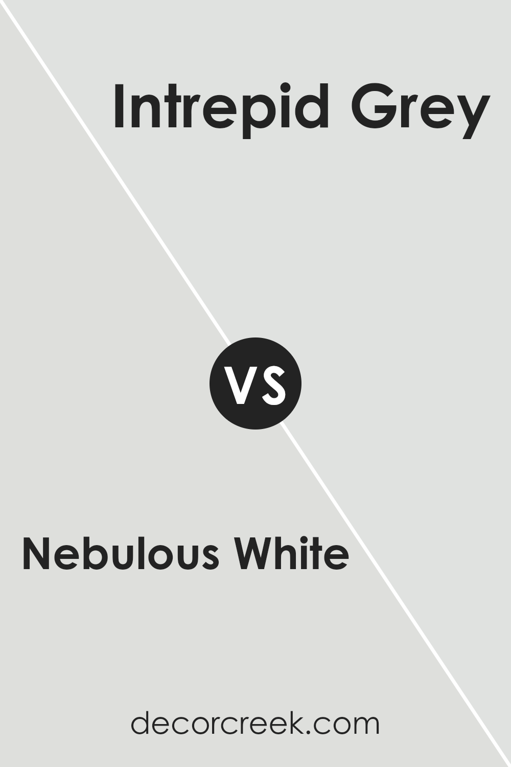 nebulous_white_sw_7063_vs_intrepid_grey_sw_9556