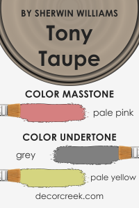 Tony Taupe SW 7038 Paint Color by Sherwin Williams - DecorCreek
