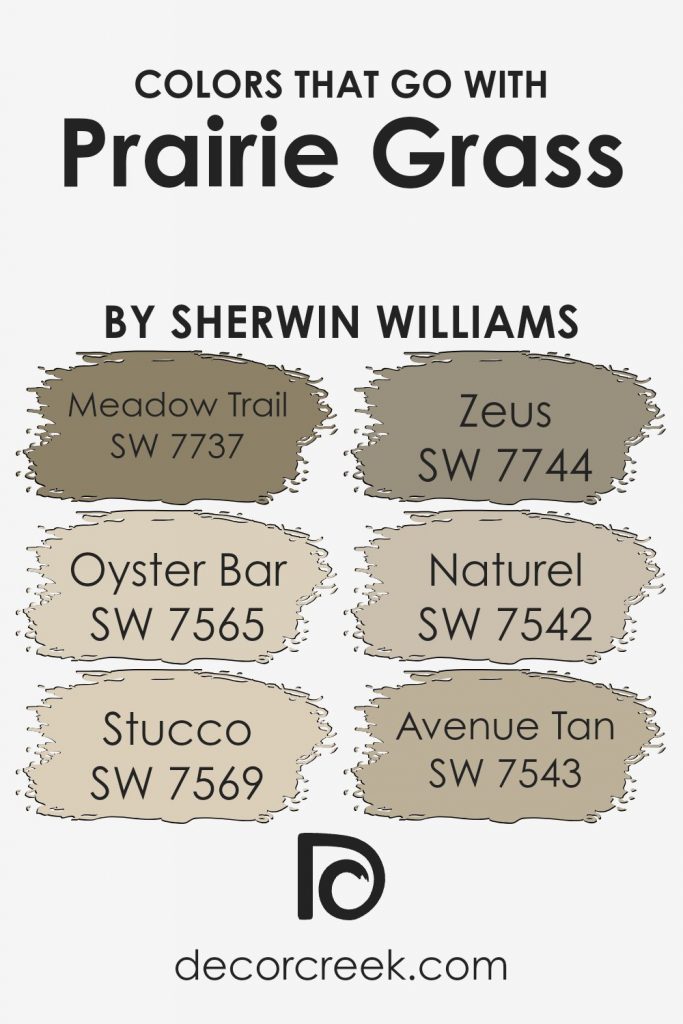 Prairie Grass SW 7546 Paint Color by Sherwin Williams - DecorCreek