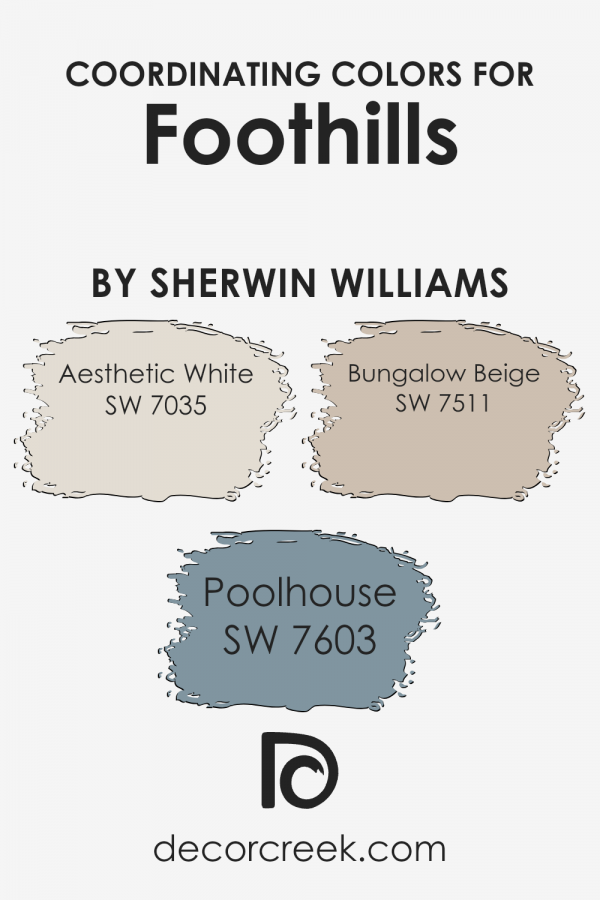Foothills SW 7514 Paint Color by Sherwin Williams DecorCreek