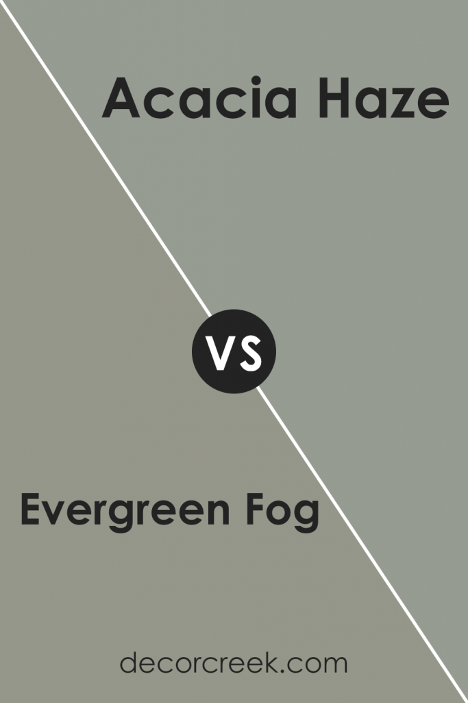 Acacia Haze Vs Evergreen Fog