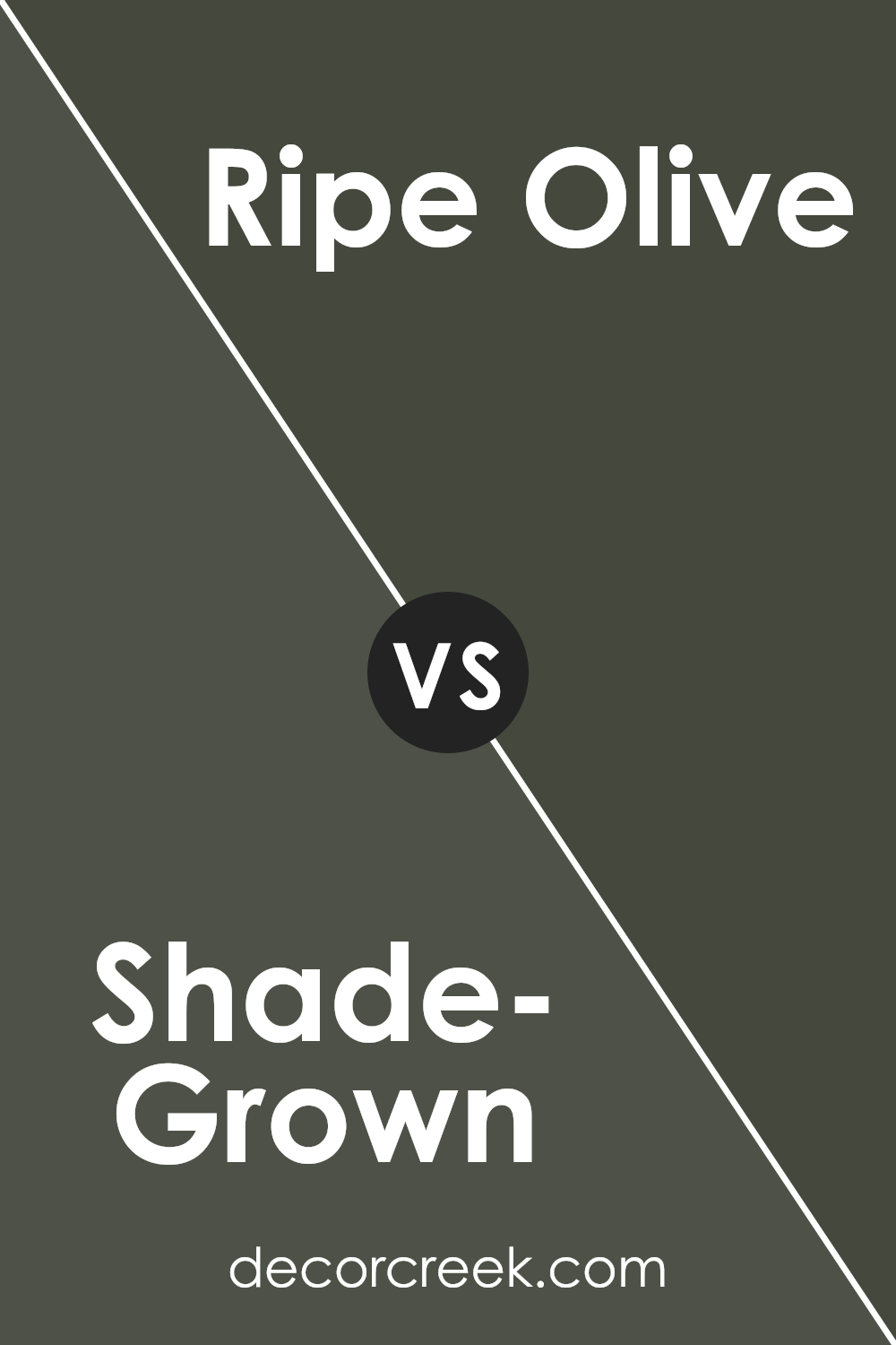 shade_grown_sw_6188_vs_ripe_olive_sw_6209