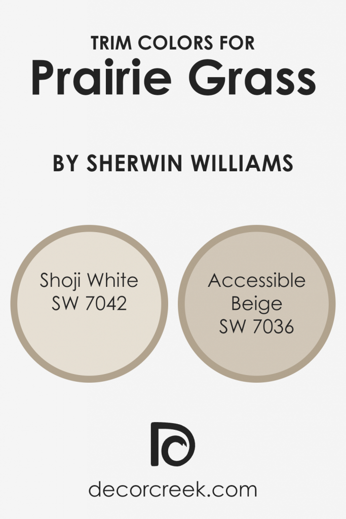 Prairie Grass SW 7546 Paint Color by Sherwin Williams - DecorCreek