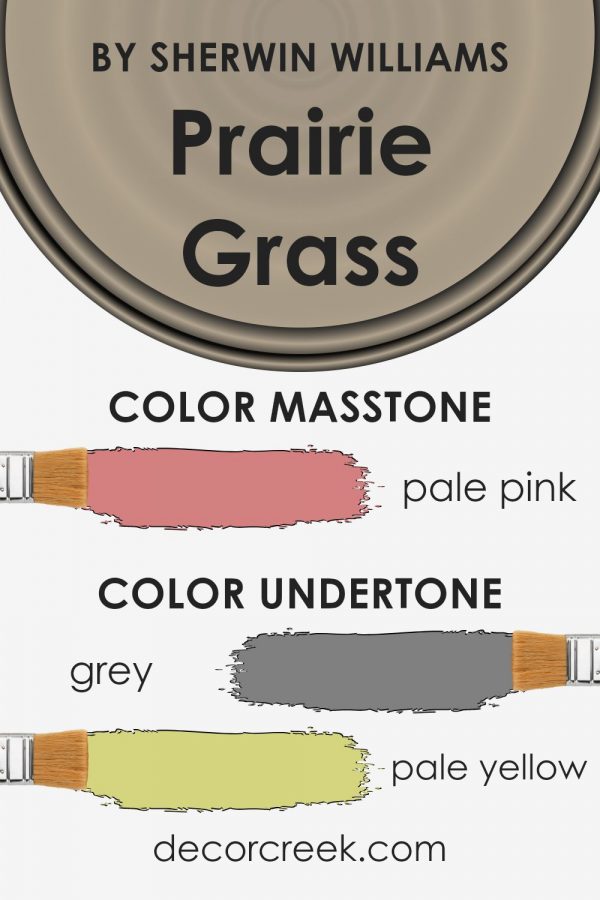 Prairie Grass SW 7546 Paint Color by Sherwin Williams - DecorCreek