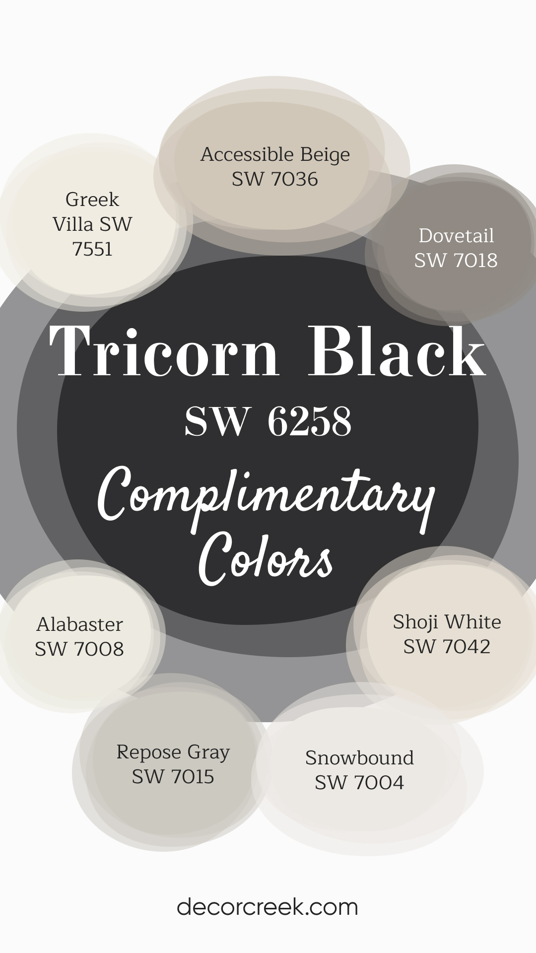Complimentary Colors for Tricorn Black SW 6258 Paint Color by Sherwin Williams