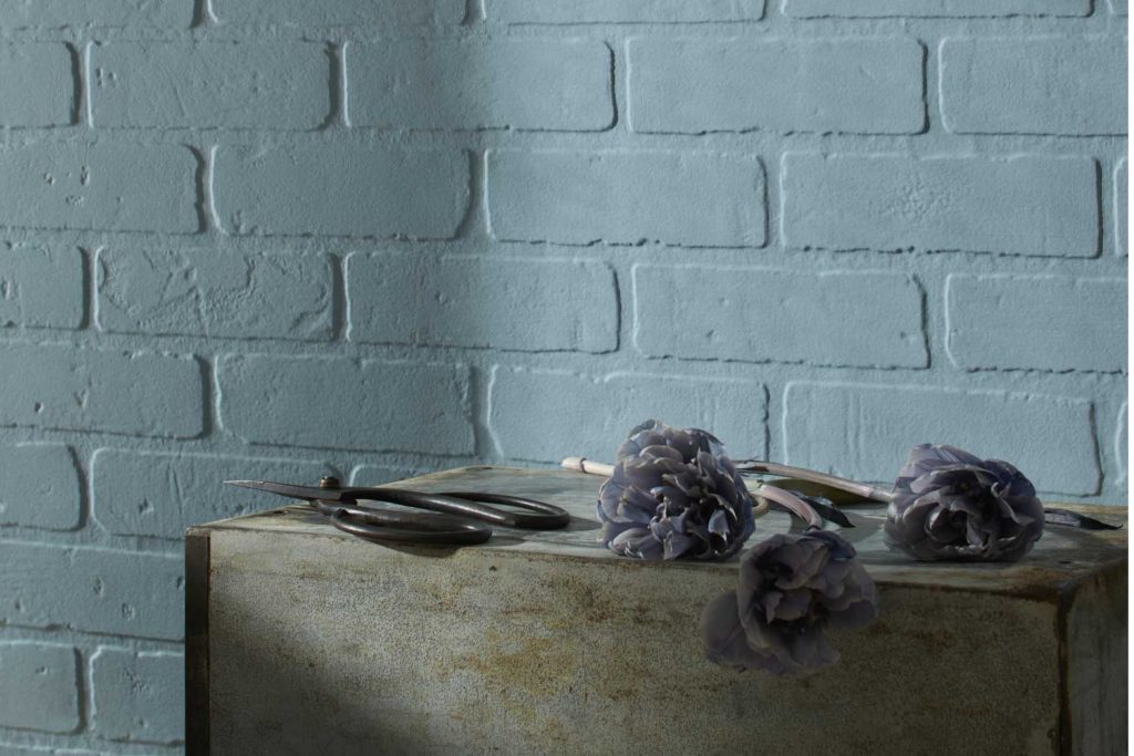 Dusty Cornflower CSP-605 Paint Color by Benjamin Moore