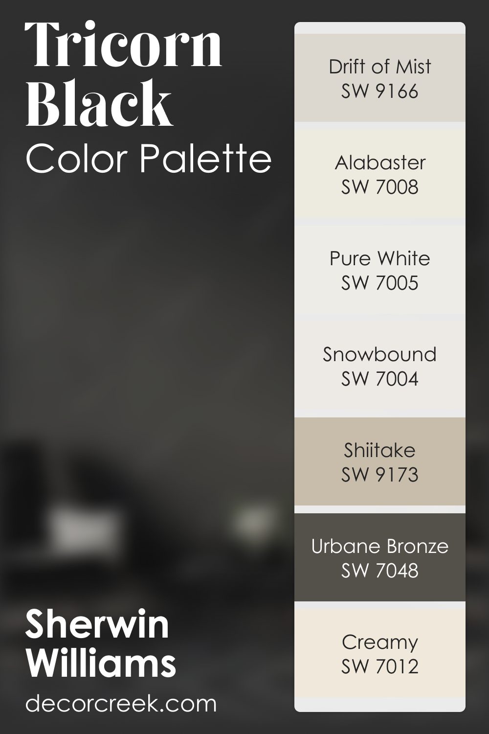 Tricorn Black SW 6258 by Sherwin Williams Color Palette