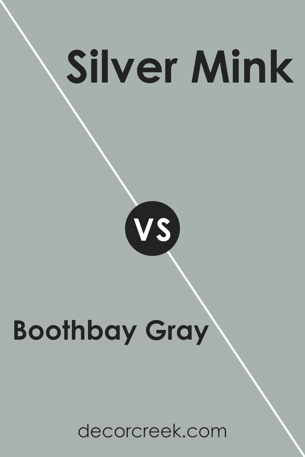 boothbay_gray_hc_165_vs_silver_mink_1586