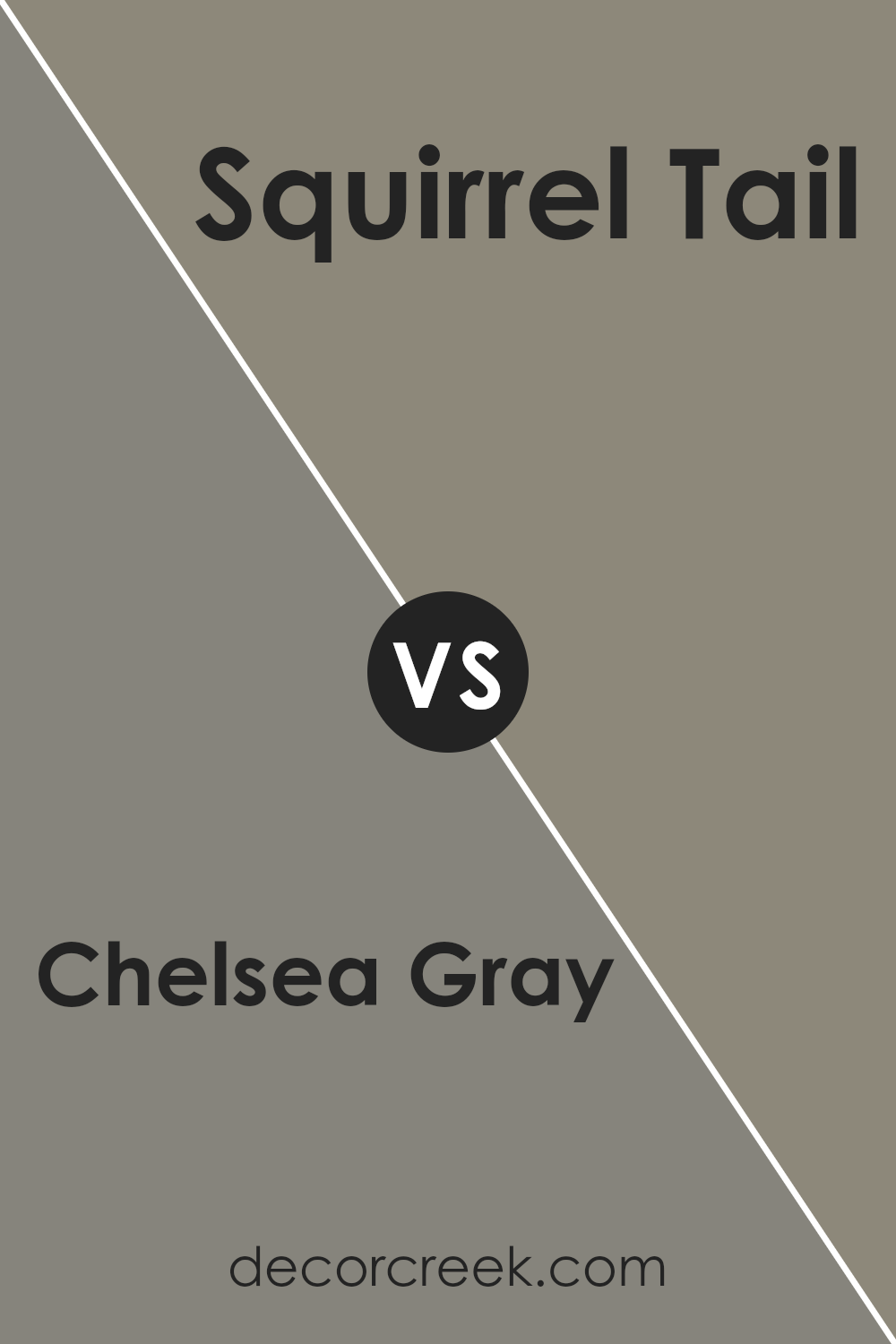 chelsea_gray_hc_168_vs_squirrel_tail_1476