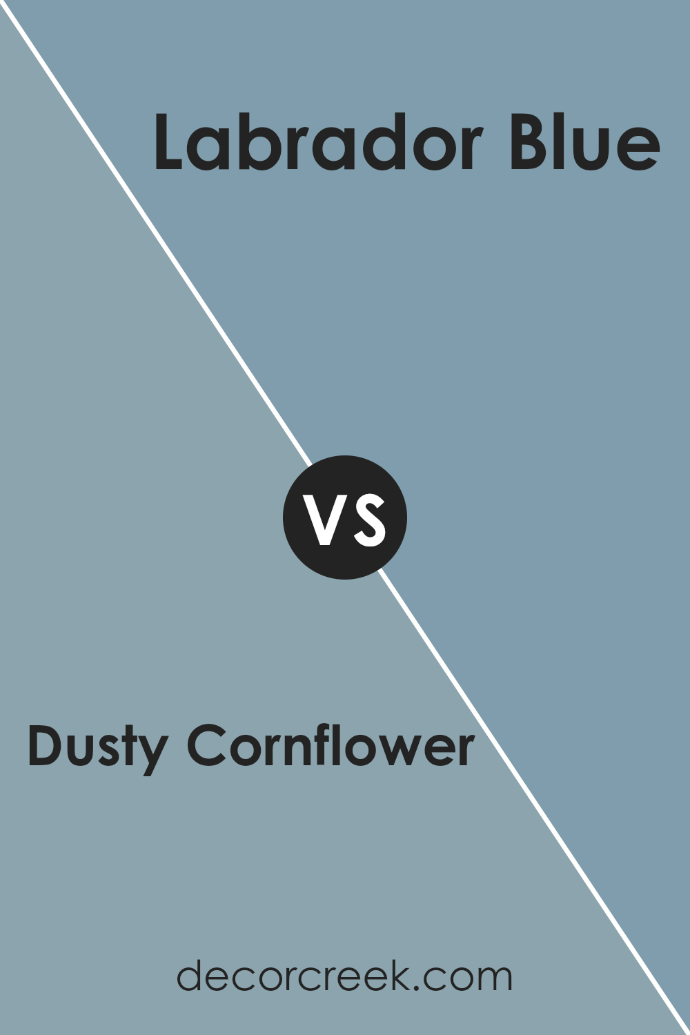 dusty_cornflower_csp_605_vs_labrador_blue_1670