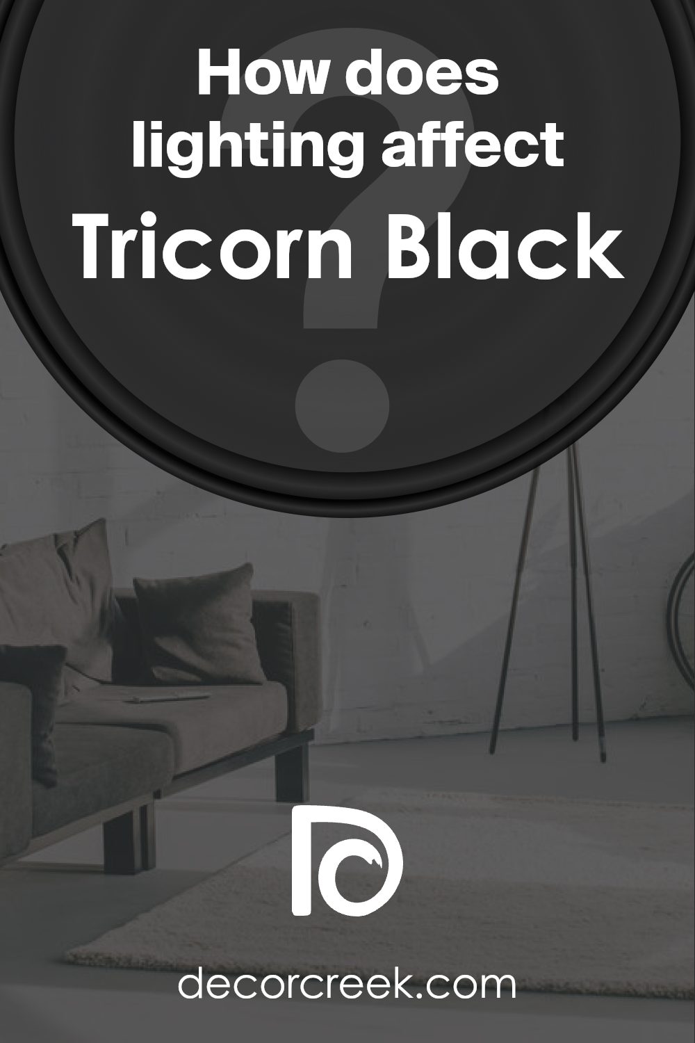 how_does_lighting_affect_tricorn_black_sw_6258