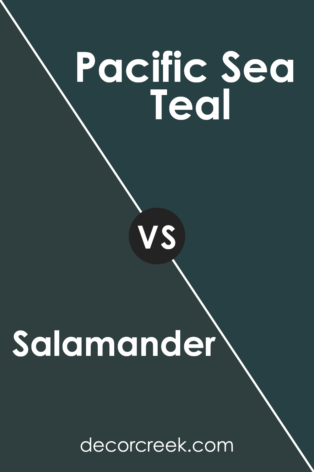 salamander_2050_10_vs_pacific_sea_teal_2049_10