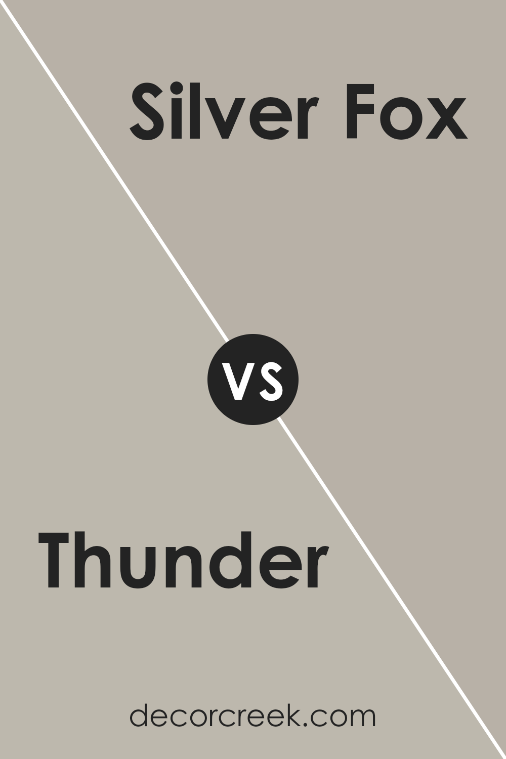 thunder_af_685_vs_silver_fox_2108_50