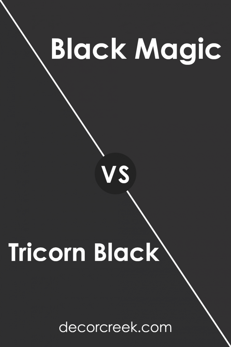 Tricorn Black SW 6258 Paint Color by Sherwin Williams - DecorCreek