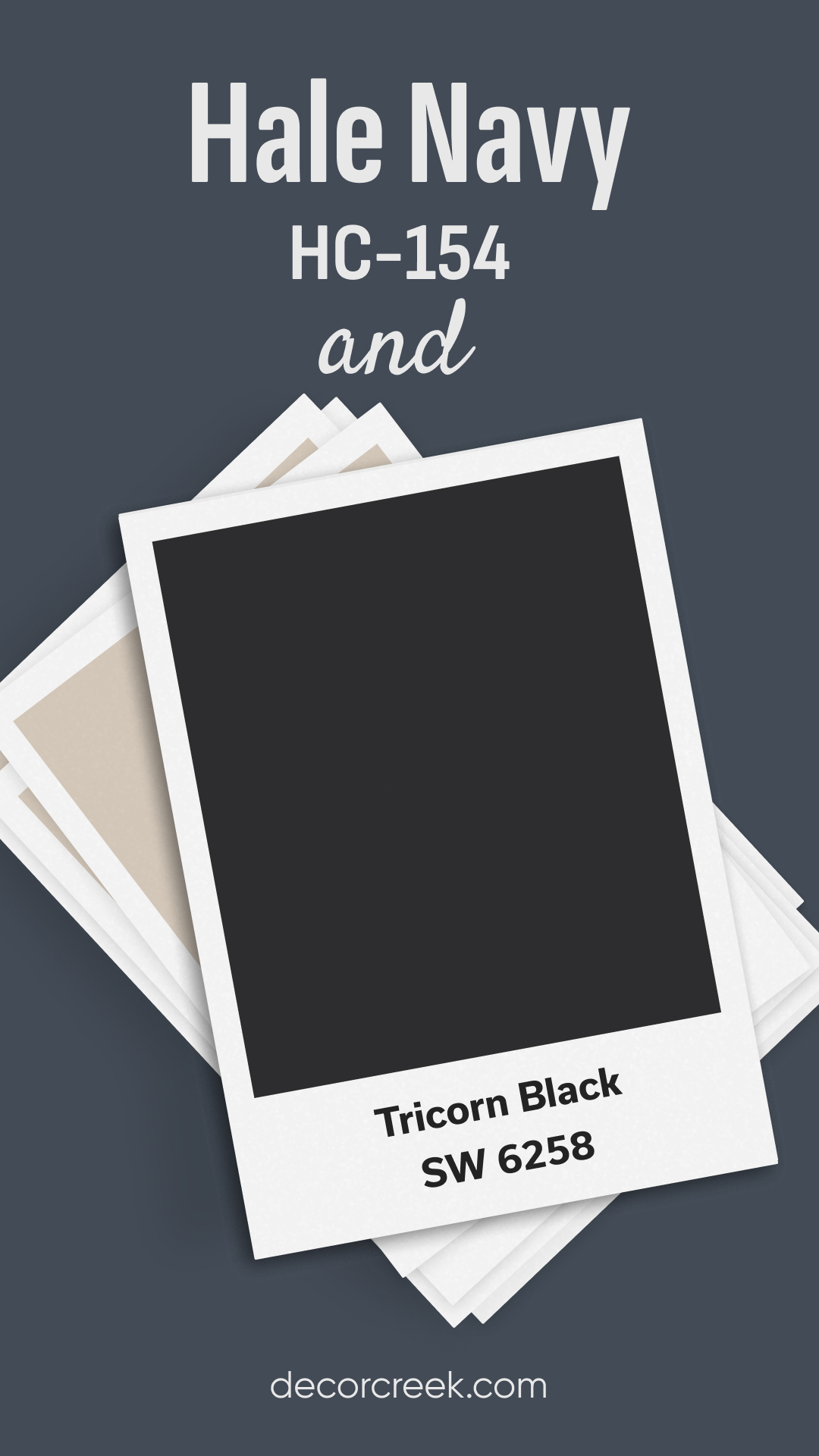 Hale Navy and Tricorn Black