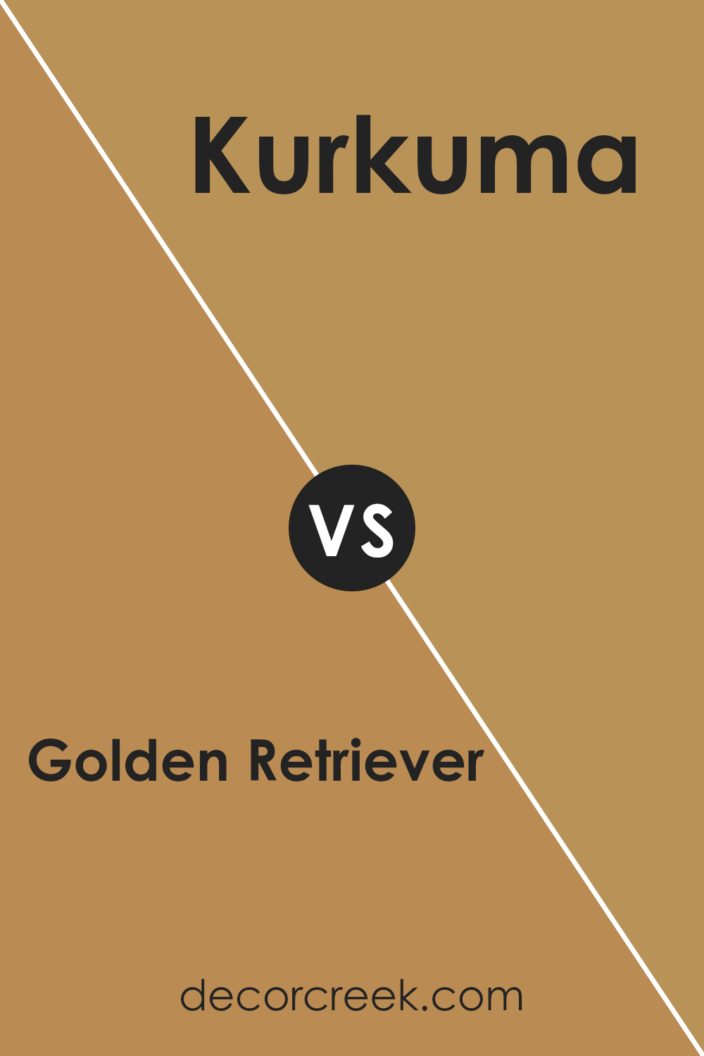 golden_retriever_2165_30_vs_kurkuma_af_350