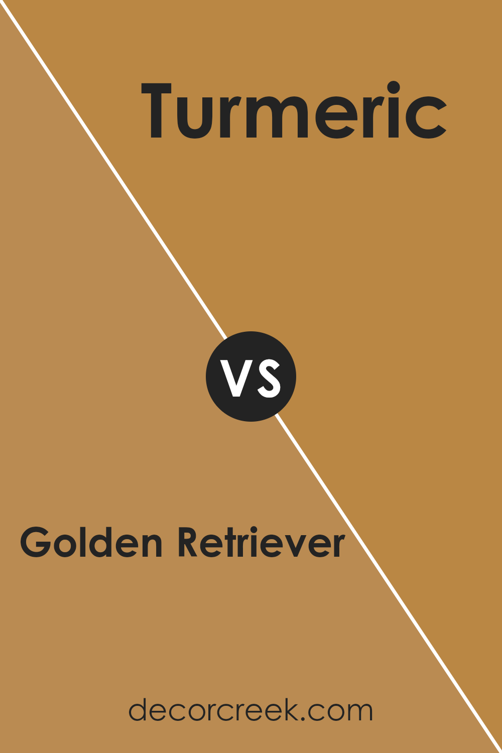 golden_retriever_2165_30_vs_turmeric_2160_20