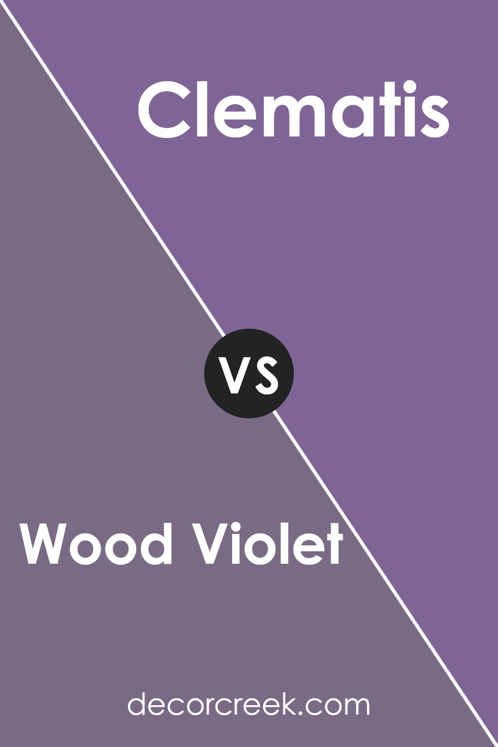 wood_violet_sw_6557_vs_clematis_sw_6831