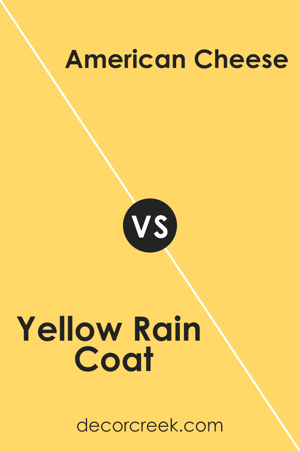 yellow_rain_coat_2020_40_vs_american_cheese_2019_40