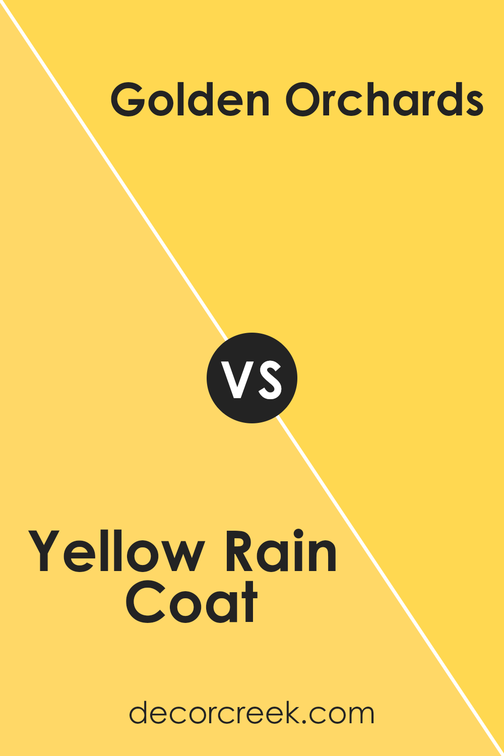 yellow_rain_coat_2020_40_vs_golden_orchards_329