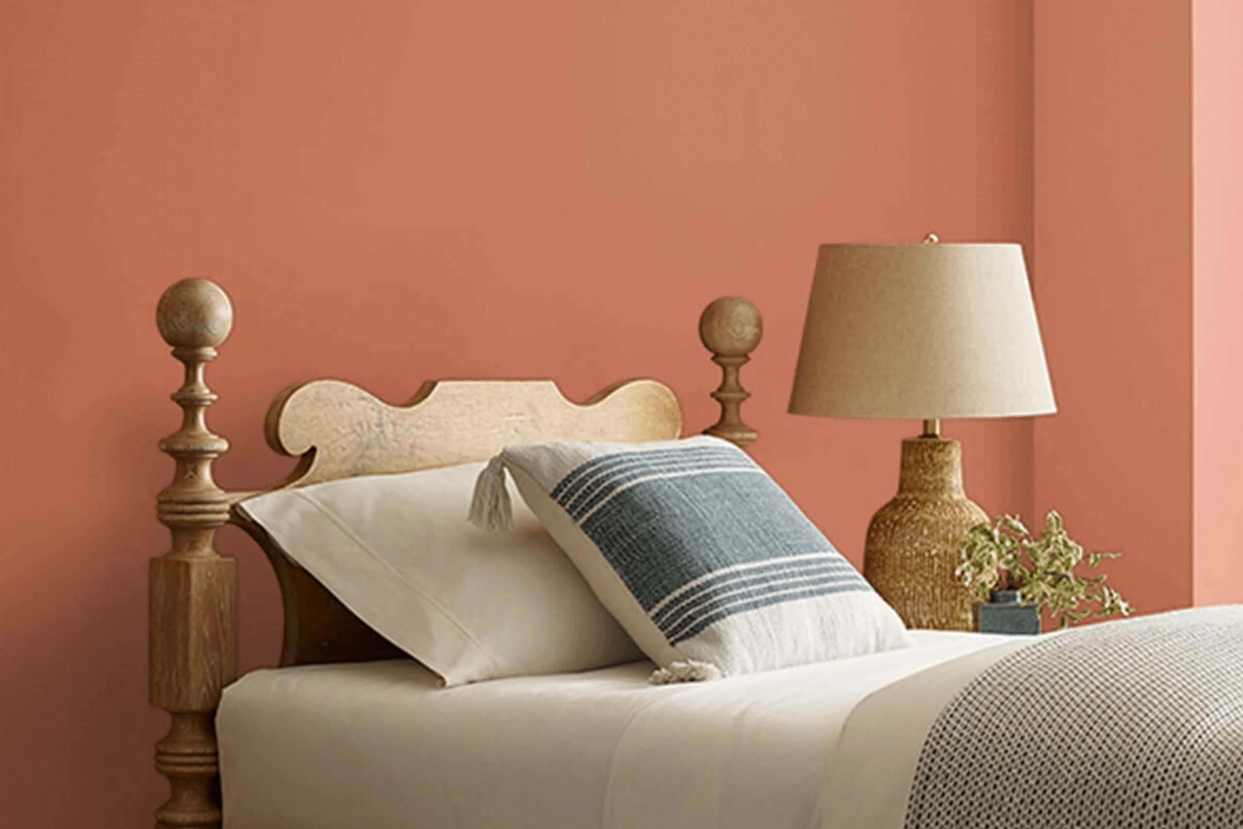 Baked Clay SW 6340 Paint Color by Sherwin Williams