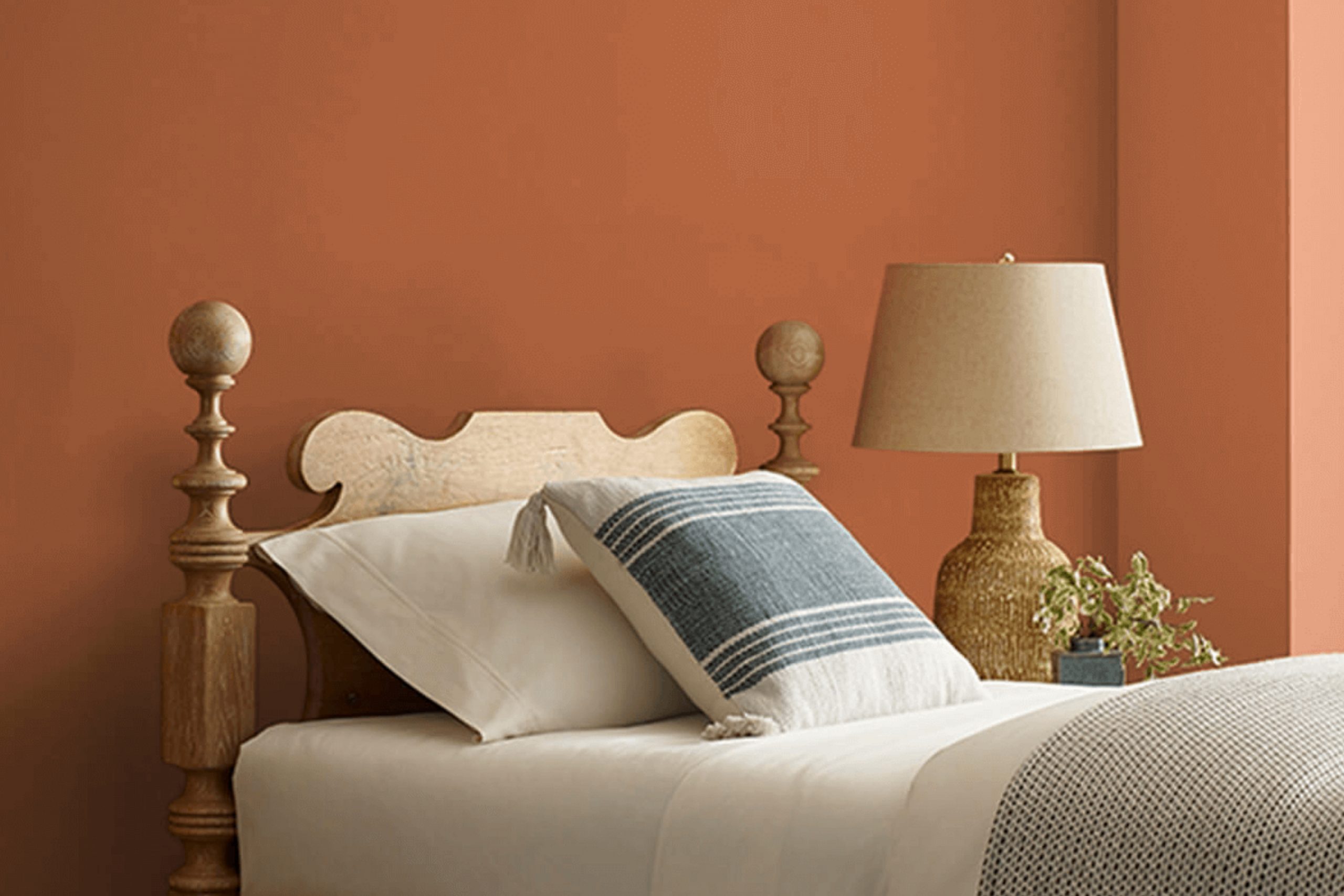 Copper Mountain SW 6356 Paint Color by Sherwin Williams