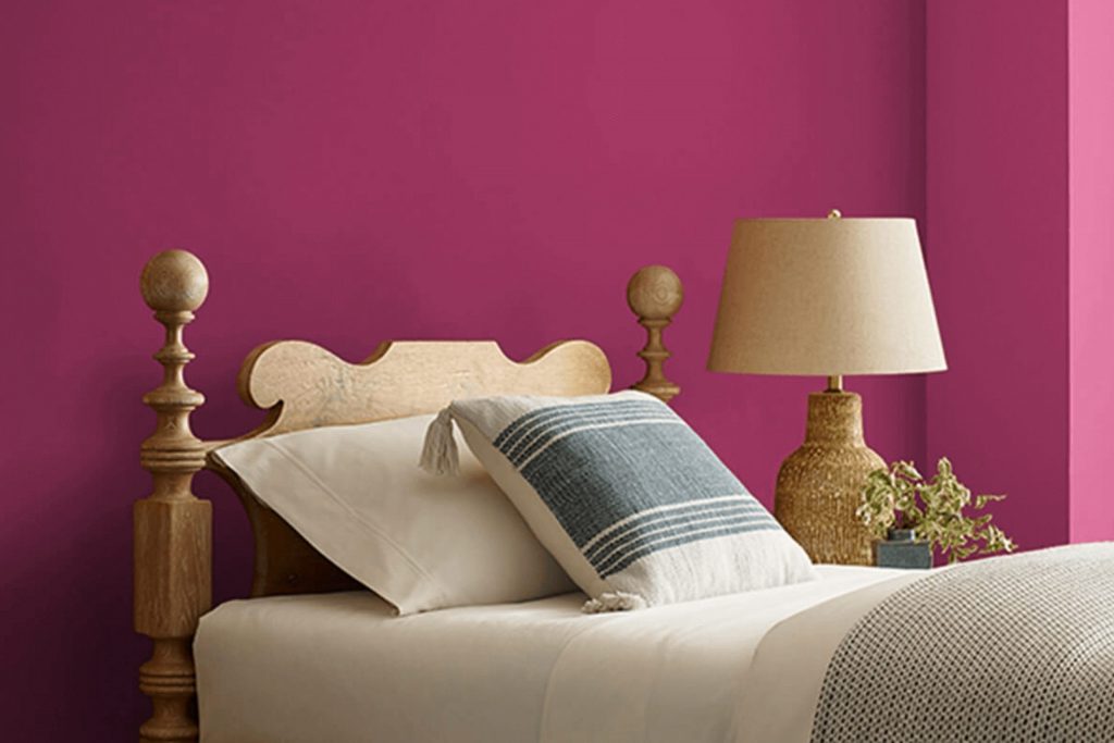 Forward Fuchsia SW 6842 Paint Color by Sherwin Williams