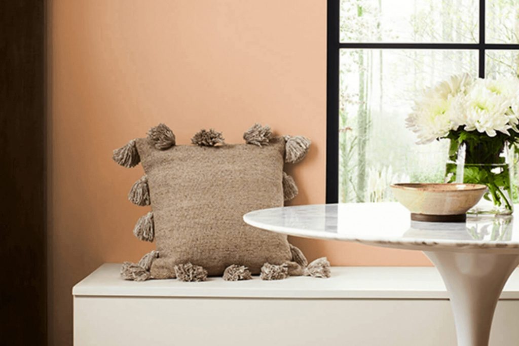 Soft Apricot SW 6352 Paint Color by Sherwin Williams