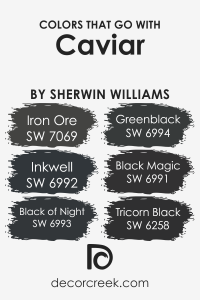 Caviar SW 6990 Paint Color by Sherwin Williams - DecorCreek