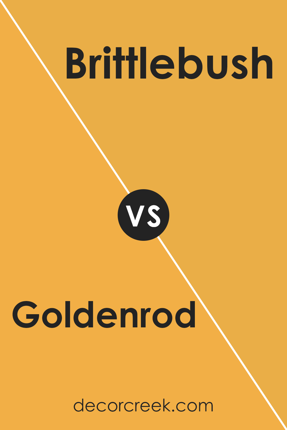 goldenrod_sw_6677_vs_brittlebush_sw_6684